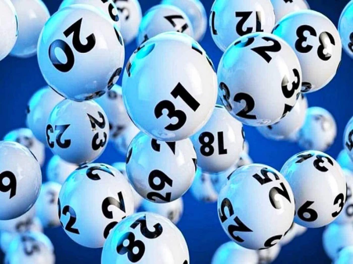 Khám Phá Thế Giới Đá Gà Trực Tiếp